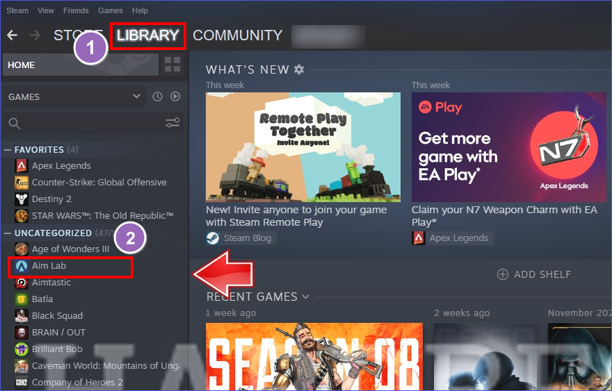 steam launcher
