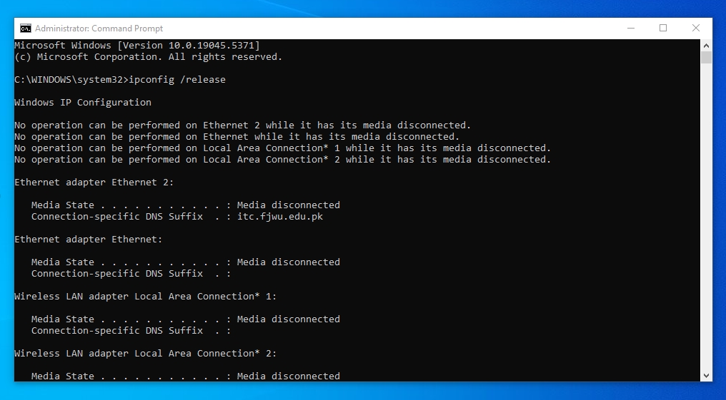 run commands to flush dns cache