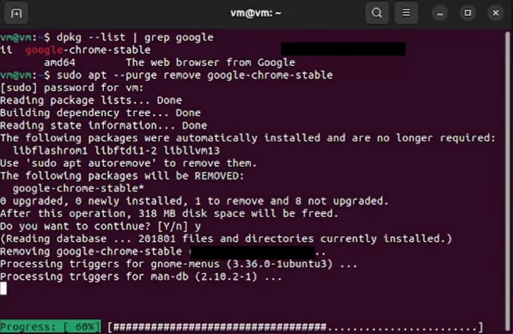 cleanup chrome and leftover files